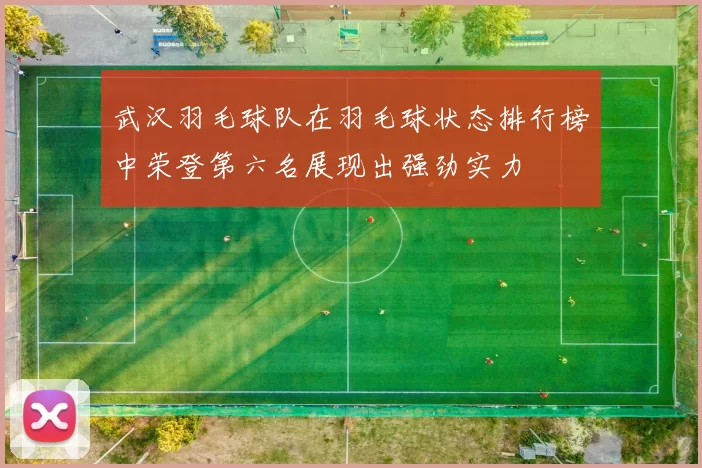 武汉羽毛球队在羽毛球状态排行榜中荣登第六名展现出强劲实力