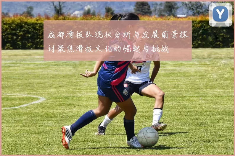 成都滑板队现状分析与发展前景探讨聚焦滑板文化的崛起与挑战