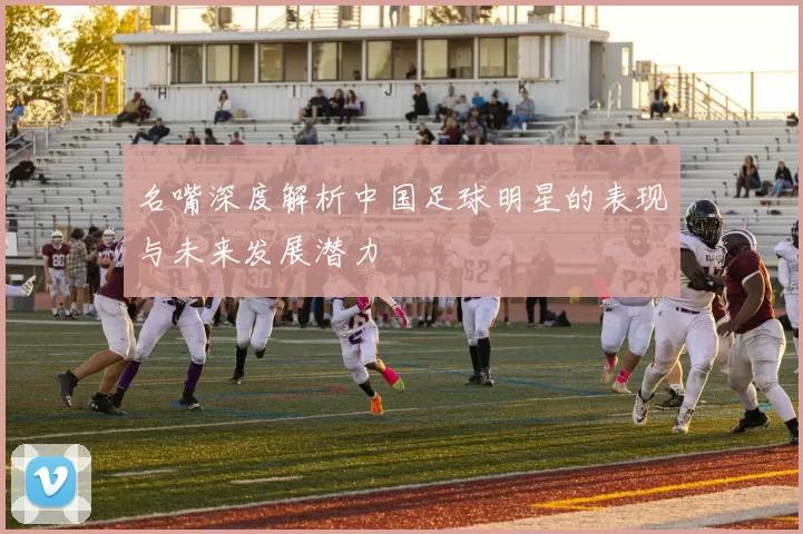 名嘴深度解析中国足球明星的表现与未来发展潜力