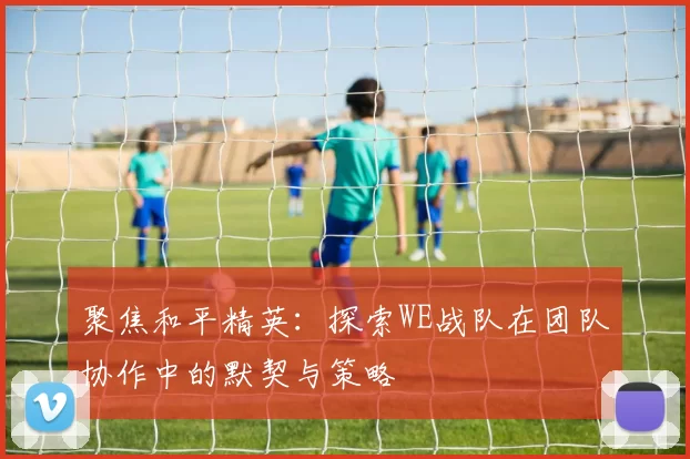 聚焦和平精英：探索WE战队在团队协作中的默契与策略