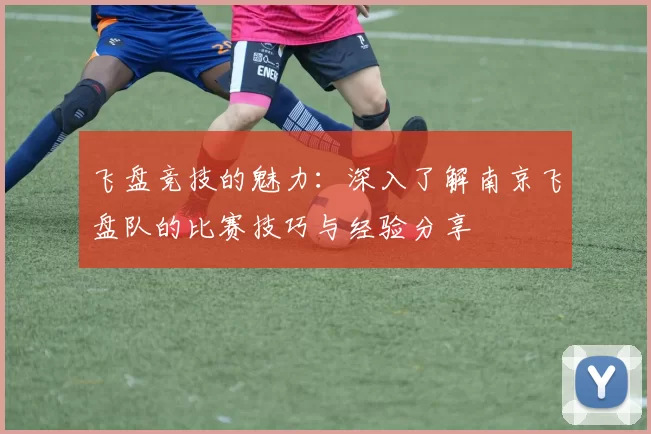 飞盘竞技的魅力：深入了解南京飞盘队的比赛技巧与经验分享