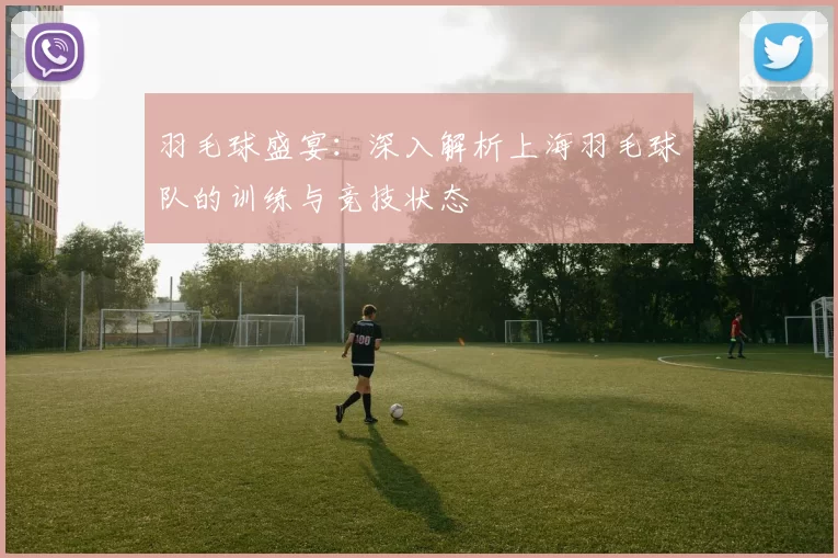 羽毛球盛宴：深入解析上海羽毛球队的训练与竞技状态