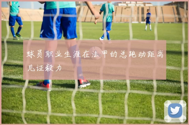 球员职业生涯在法甲的总跑动距离见证毅力