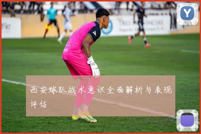 西安球队战术意识全面解析与表现评估