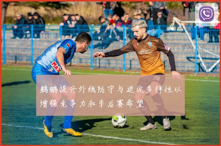 鹈鹕提升外线防守与进攻多样性以增强竞争力和季后赛希望