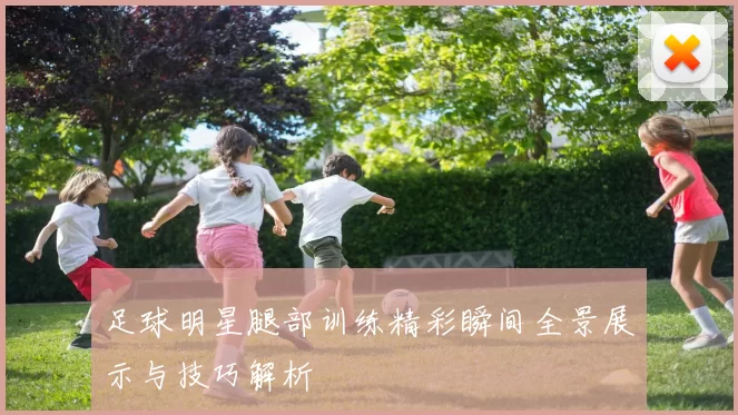 足球明星腿部训练精彩瞬间全景展示与技巧解析