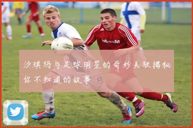 沙琪玛与足球明星的奇妙关联揭秘你不知道的故事