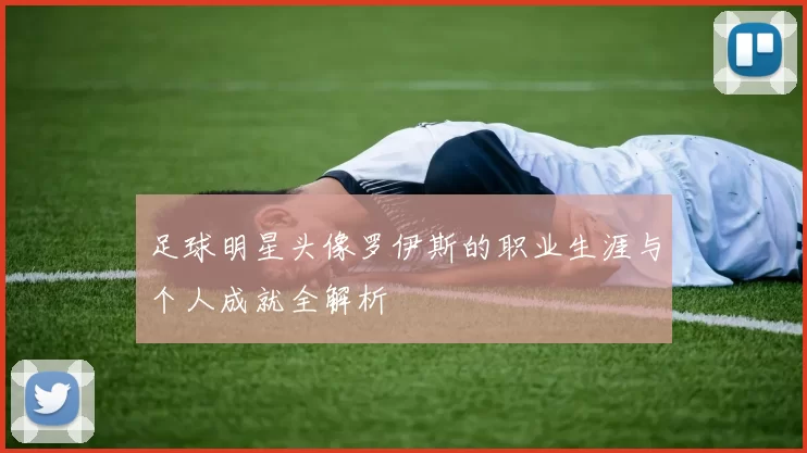 足球明星头像罗伊斯的职业生涯与个人成就全解析