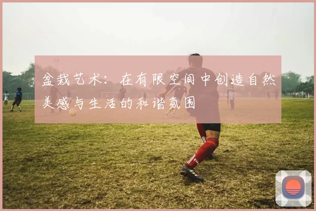 盆栽艺术：在有限空间中创造自然美感与生活的和谐氛围