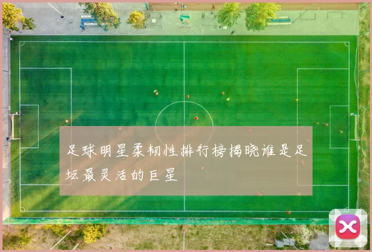 足球明星柔韧性排行榜揭晓谁是足坛最灵活的巨星