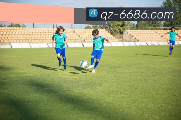 8868体育平台生态图